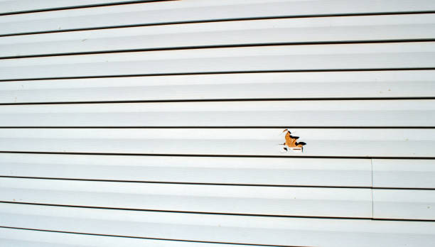 Best Aluminum Siding Installation  in Lynwood, CA