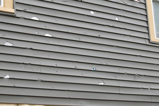 Best Custom Siding Design  in Lynwood, CA