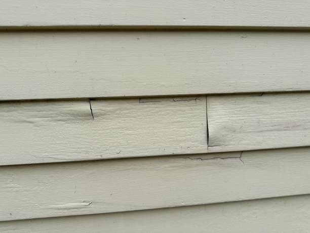 Best Steel Siding Installation  in Lynwood, CA